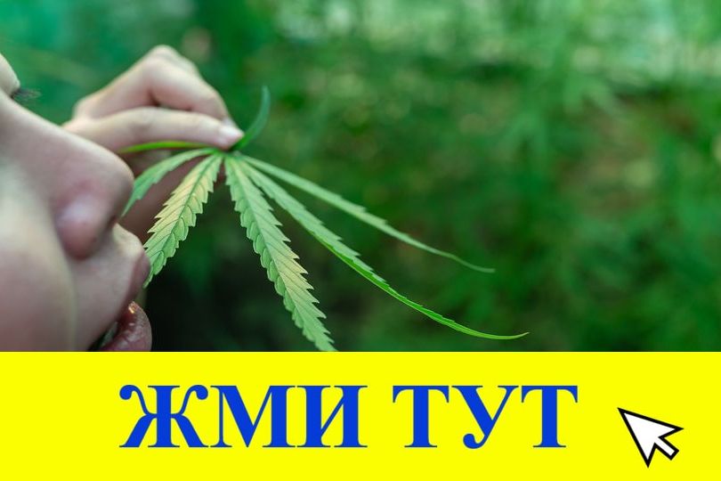 Купить наркотики в Новошахтинске